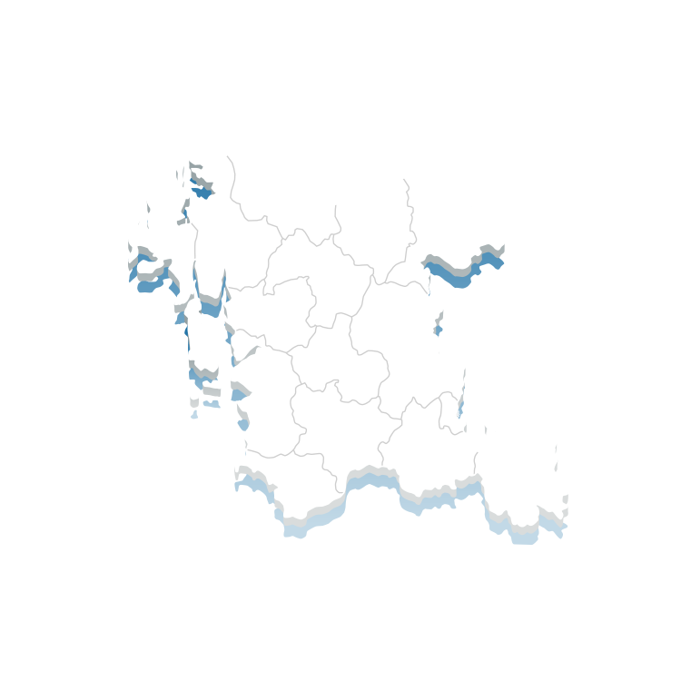 충남